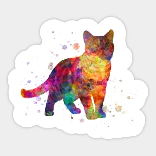 American shorthair in watercolor Sticker